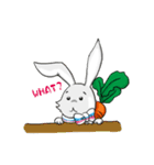 Puff Rabbit（個別スタンプ：31）