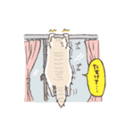 長毛にゃんこ（個別スタンプ：30）