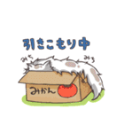 長毛にゃんこ（個別スタンプ：38）