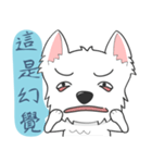 West Highland White Terrier part 3（個別スタンプ：5）