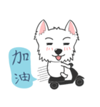 West Highland White Terrier part 3（個別スタンプ：6）