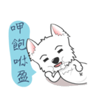 West Highland White Terrier part 3（個別スタンプ：8）