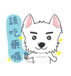 West Highland White Terrier part 3（個別スタンプ：9）