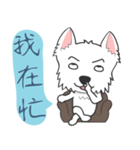 West Highland White Terrier part 3（個別スタンプ：16）