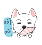 West Highland White Terrier part 3（個別スタンプ：19）