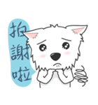 West Highland White Terrier part 3（個別スタンプ：20）