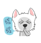 West Highland White Terrier part 3（個別スタンプ：27）