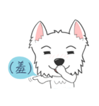 West Highland White Terrier part 3（個別スタンプ：28）