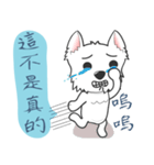 West Highland White Terrier part 3（個別スタンプ：29）