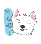 West Highland White Terrier part 3（個別スタンプ：30）