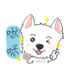 West Highland White Terrier part 3（個別スタンプ：33）