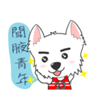 West Highland White Terrier part 3（個別スタンプ：35）