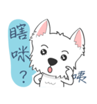 West Highland White Terrier part 3（個別スタンプ：36）