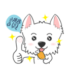 West Highland White Terrier part 3（個別スタンプ：39）