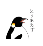 ペンギンさんのスタンプ（個別スタンプ：7）