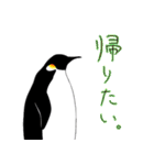 ペンギンさんのスタンプ（個別スタンプ：13）