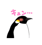 ペンギンさんのスタンプ（個別スタンプ：20）