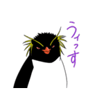 ペンギンさんのスタンプ（個別スタンプ：21）