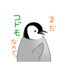 ペンギンさんのスタンプ（個別スタンプ：37）