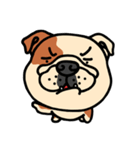 Joy's English Bulldog World（個別スタンプ：4）