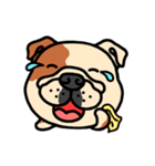 Joy's English Bulldog World（個別スタンプ：9）