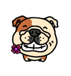 Joy's English Bulldog World（個別スタンプ：15）