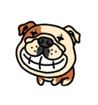 Joy's English Bulldog World（個別スタンプ：26）