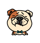 Joy's English Bulldog World（個別スタンプ：27）