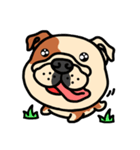 Joy's English Bulldog World（個別スタンプ：38）