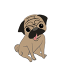 Fat Pug（個別スタンプ：21）