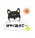 黒柴まろの365日（個別スタンプ：37）