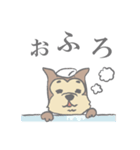 コロちゃんスタンプ（個別スタンプ：22）