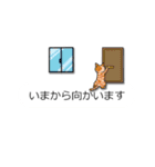 こねこだらけ（個別スタンプ：5）