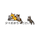 こねこだらけ（個別スタンプ：12）