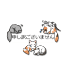 こねこだらけ（個別スタンプ：13）