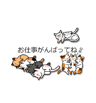 こねこだらけ（個別スタンプ：15）