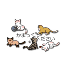 こねこだらけ（個別スタンプ：18）