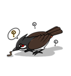 Red-whiskered bulbul bird（個別スタンプ：2）