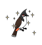 Red-whiskered bulbul bird（個別スタンプ：4）