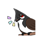 Red-whiskered bulbul bird（個別スタンプ：18）