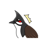 Red-whiskered bulbul bird（個別スタンプ：20）