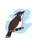 Red-whiskered bulbul bird（個別スタンプ：27）