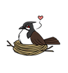 Red-whiskered bulbul bird（個別スタンプ：29）