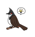 Red-whiskered bulbul bird（個別スタンプ：32）