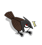 Red-whiskered bulbul bird（個別スタンプ：35）