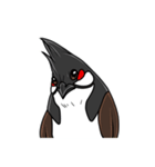 Red-whiskered bulbul bird（個別スタンプ：36）