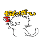 ねこキックくん スタンプ（個別スタンプ：31）