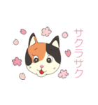 ヨガねこ（個別スタンプ：37）