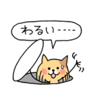 使える不承知ねこスタンプ（個別スタンプ：25）