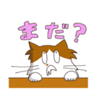 よだれねこの脱力生活（個別スタンプ：31）